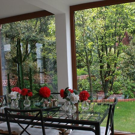 Apartament La Camelia D'Oro Oggebio Zewnętrze zdjęcie
